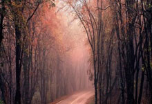 爱游戏在线-俄罗斯铁饼选手现身田径场地，勇创佳绩引关注