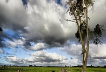 爱游戏入口-魔鬼主场臣服！巴萨客征莱万特续写不败传奇