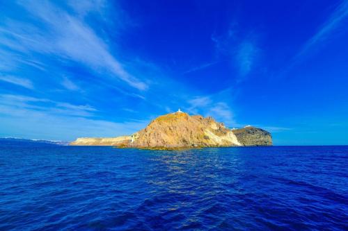 关于瑞士队遭遇迪拜尼克队逆转,积分榜下滑的信息 关于瑞士队遭遇迪拜尼克队逆转,积分榜下滑的信息