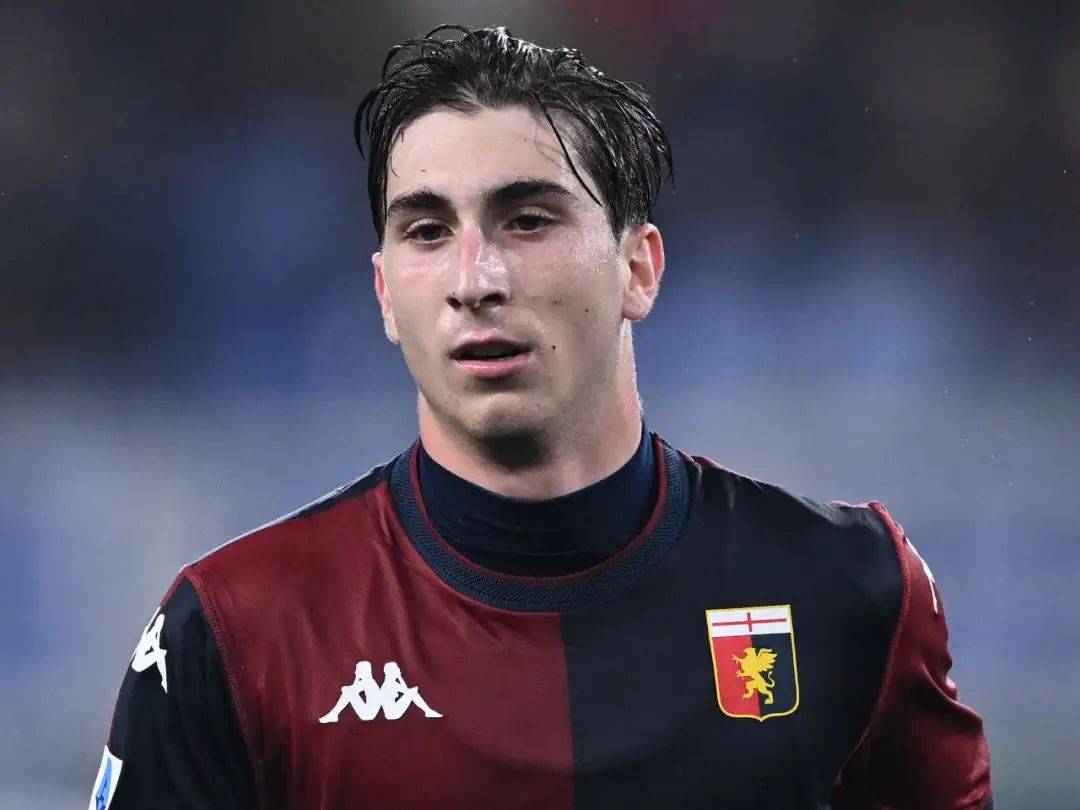 爱游戏在线-乌迪内斯绝杀热那亚，重现保级曙光的简单介绍