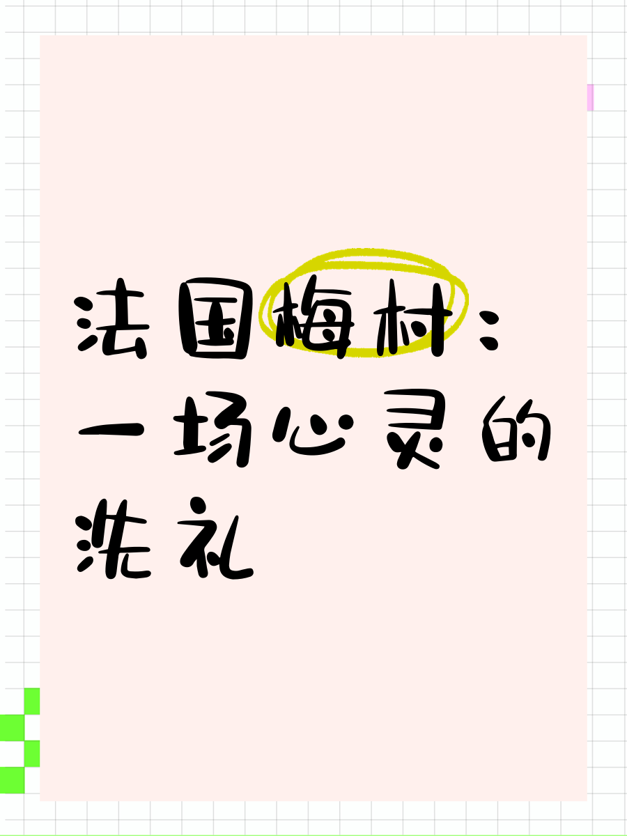 摩纳哥外援入籍法国,颇具争议 摩纳哥外援入籍法国,颇具争议