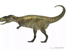 爱游戏APP-包含意甲联赛鹰视狼顾，球队逐鹿中原的词条