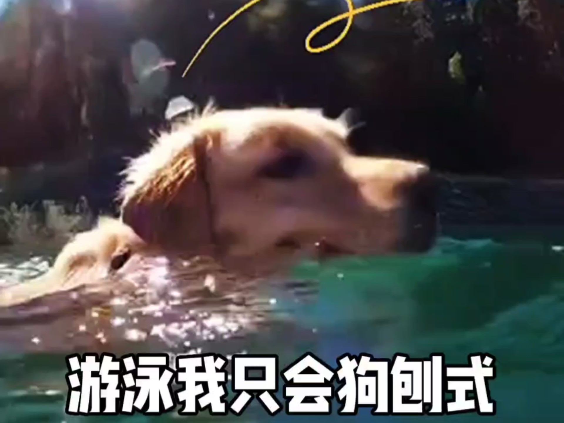 爱游戏在线-游泳场外新闻不断，话题热度爆表的简单介绍